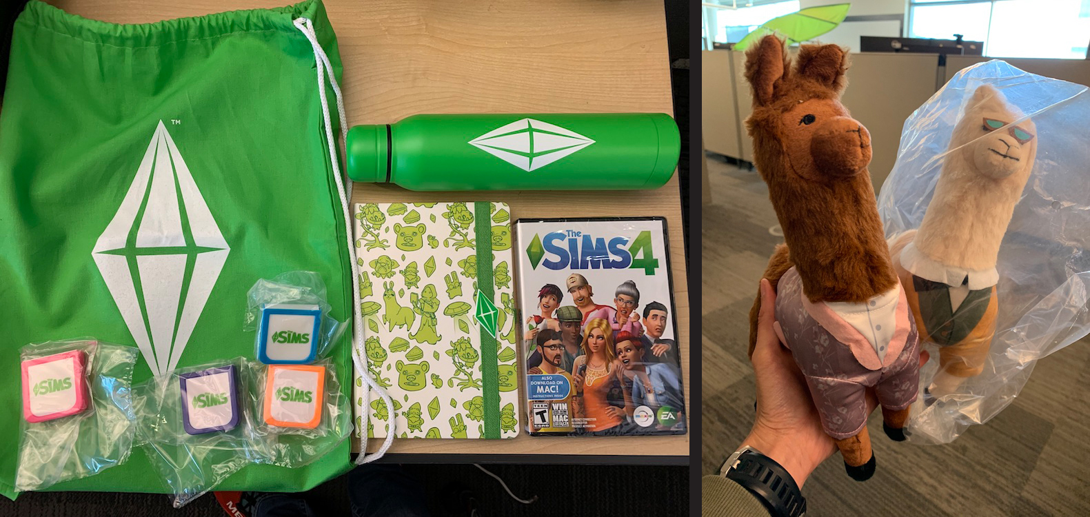 Branded Sims satchel, water bottle, notebook, chalk packets, game in DVD case, and two plush llama toys.