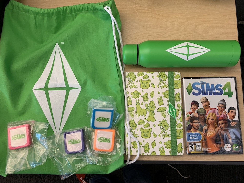 Branded Sims satchel, water bottle, notebook, chalk packets, and game in DVD case.